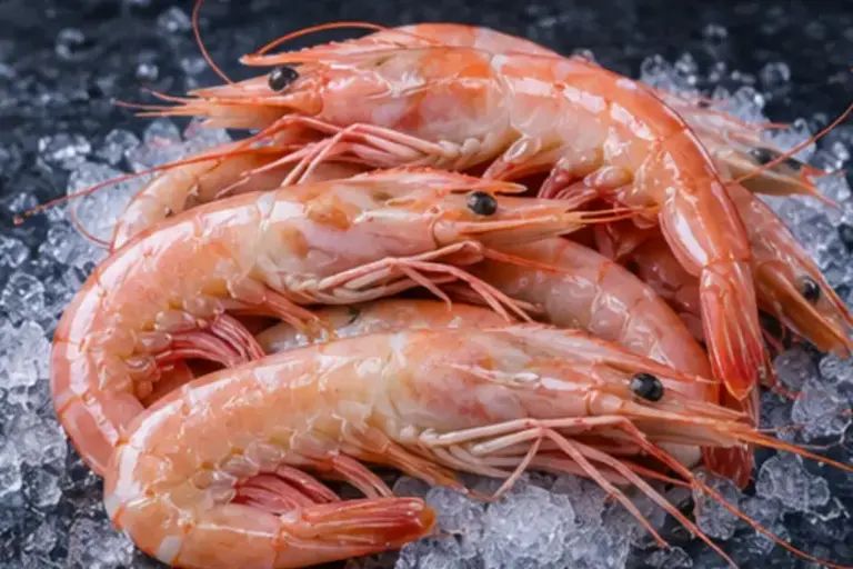 [LAN-01] Langostino del Atlántico