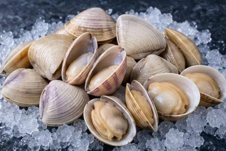 [ALM-01] Almeja